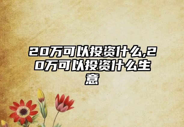 20萬可以投資什么,20萬可以投資什么生意