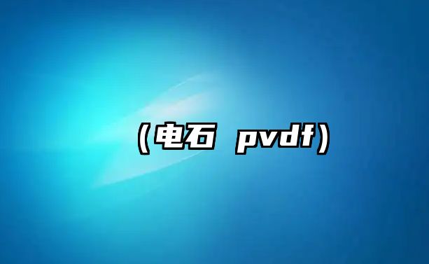 （電石 pvdf）