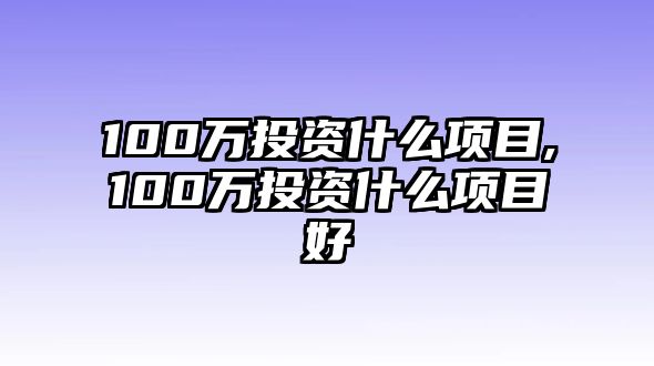 100萬投資什么項(xiàng)目,100萬投資什么項(xiàng)目好