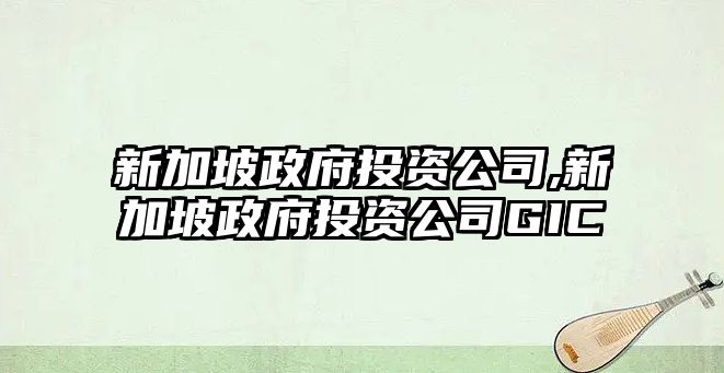 新加坡政府投資公司,新加坡政府投資公司GIC