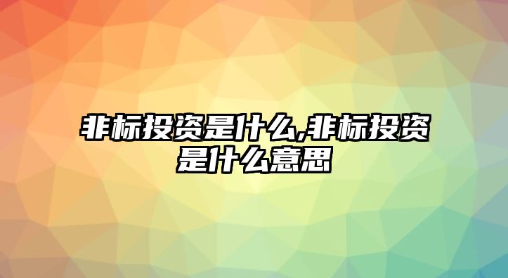 非標投資是什么,非標投資是什么意思