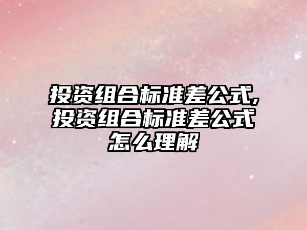 投資組合標準差公式,投資組合標準差公式怎么理解