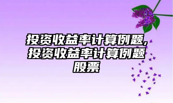 投資收益率計算例題,投資收益率計算例題股票