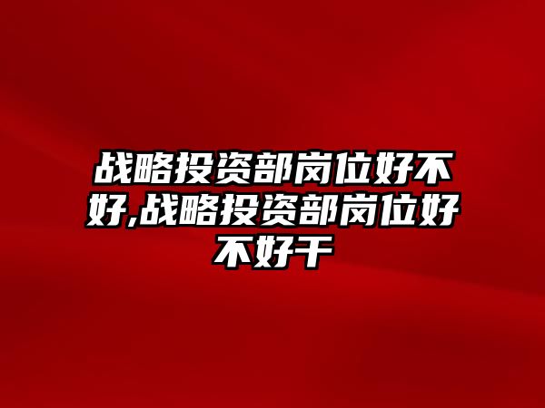 戰(zhàn)略投資部崗位好不好,戰(zhàn)略投資部崗位好不好干