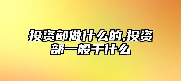 投資部做什么的,投資部一般干什么