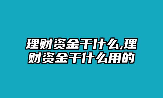 理財(cái)資金干什么,理財(cái)資金干什么用的