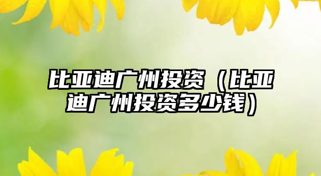 比亞迪廣州投資（比亞迪廣州投資多少錢）