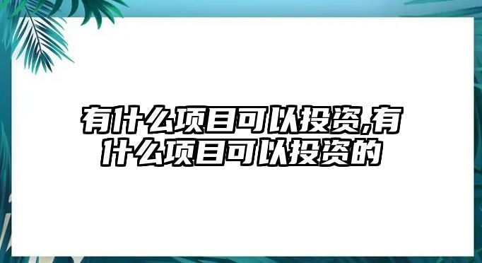 有什么項(xiàng)目可以投資,有什么項(xiàng)目可以投資的