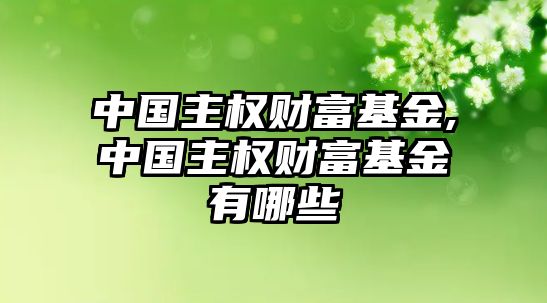 中國(guó)主權(quán)財(cái)富基金,中國(guó)主權(quán)財(cái)富基金有哪些