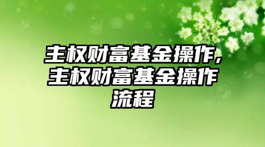 主權財富基金操作,主權財富基金操作流程