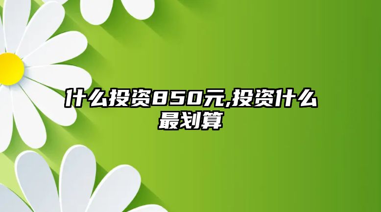 什么投資850元,投資什么最劃算