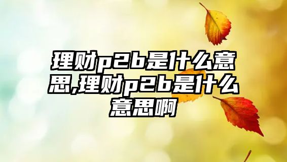 理財p2b是什么意思,理財p2b是什么意思啊