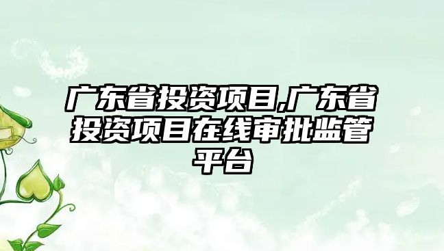 廣東省投資項目,廣東省投資項目在線審批監(jiān)管平臺