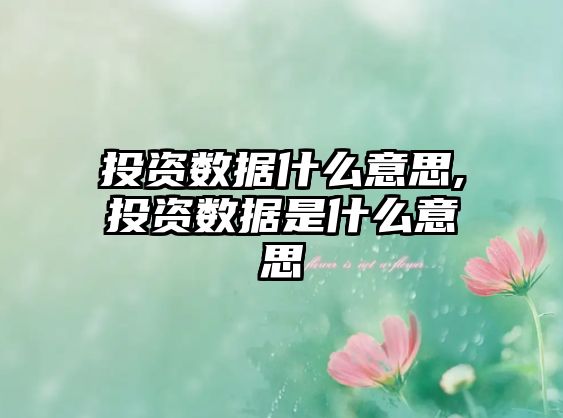 投資數(shù)據(jù)什么意思,投資數(shù)據(jù)是什么意思