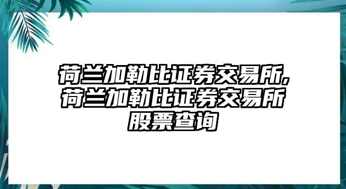 荷蘭加勒比證券交易所,荷蘭加勒比證券交易所股票查詢