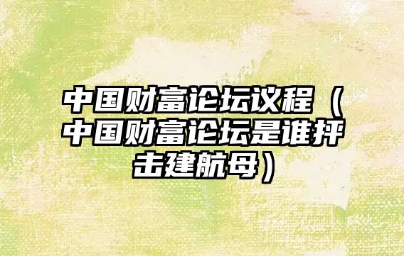 中國財富論壇議程（中國財富論壇是誰抨擊建航母）