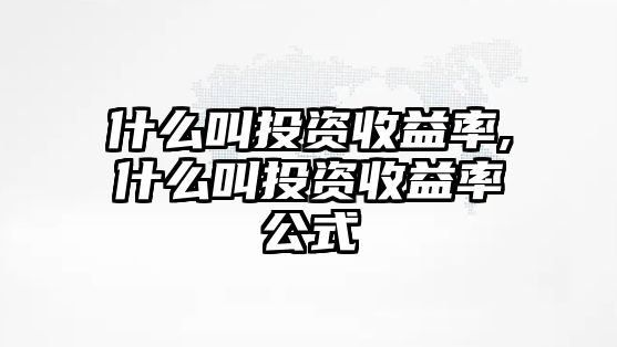 什么叫投資收益率,什么叫投資收益率公式