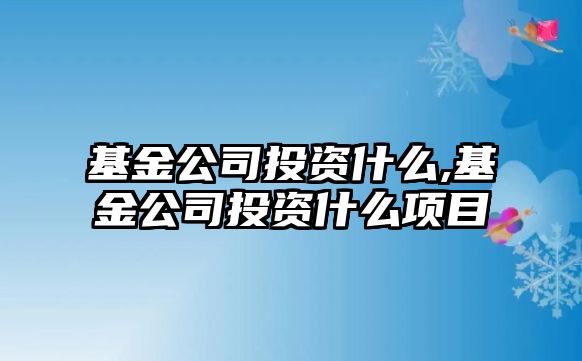 基金公司投資什么,基金公司投資什么項目