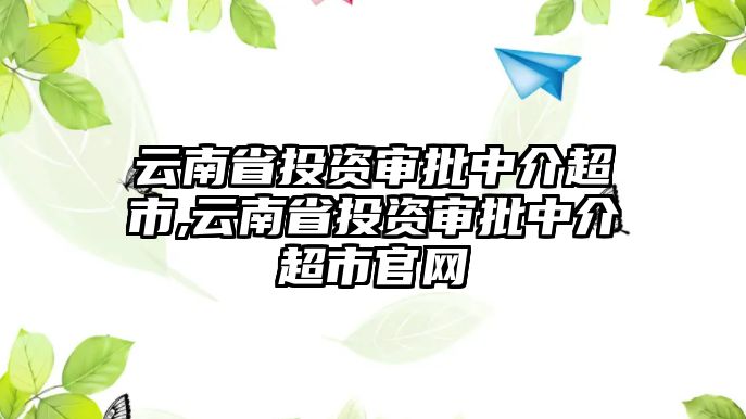 云南省投資審批中介超市,云南省投資審批中介超市官網(wǎng)