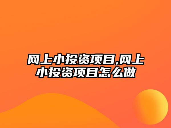 網(wǎng)上小投資項目,網(wǎng)上小投資項目怎么做