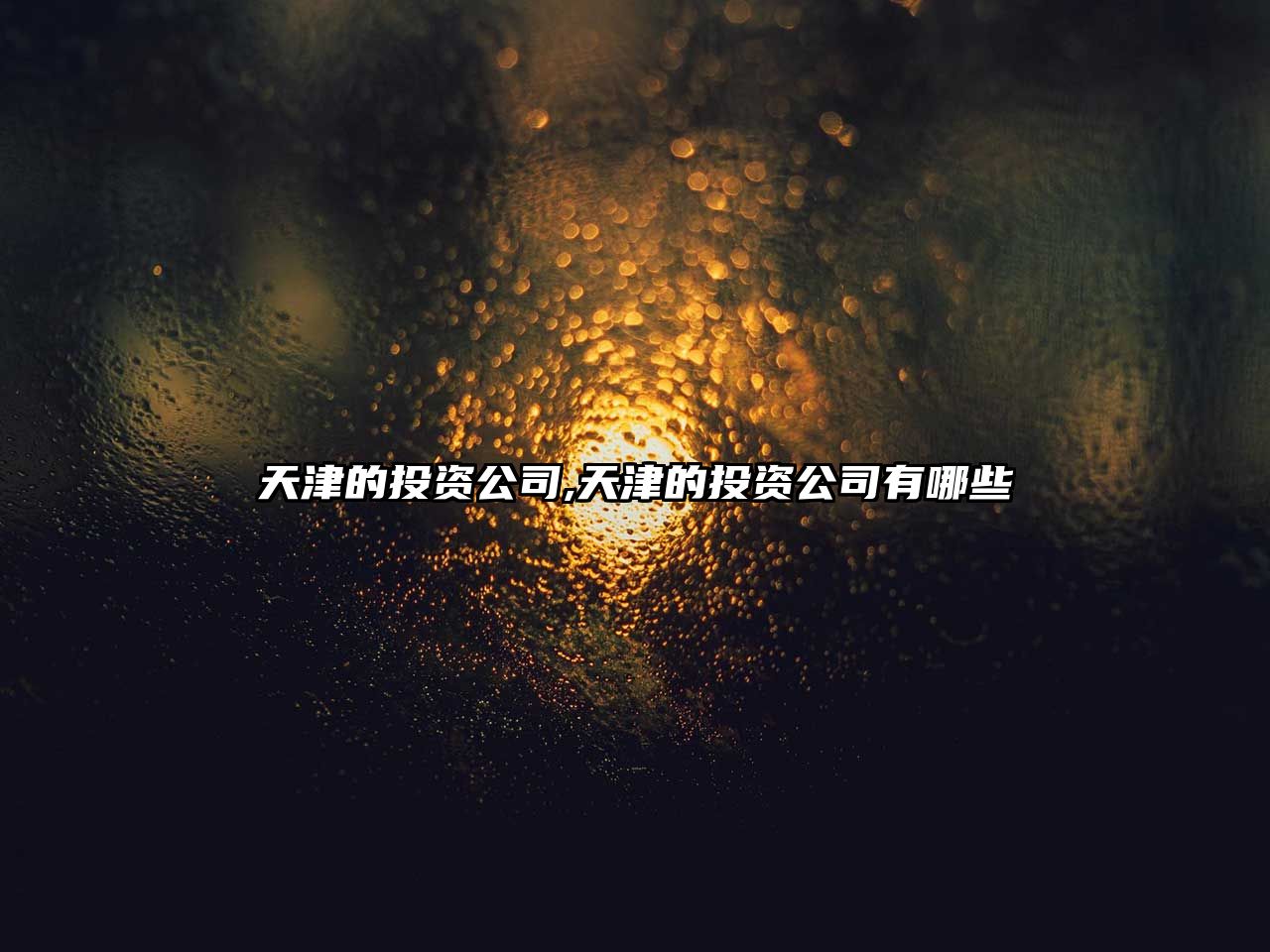 天津的投資公司,天津的投資公司有哪些