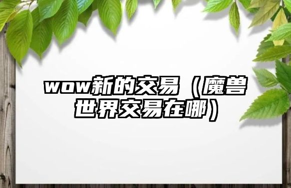 wow新的交易（魔獸世界交易在哪）