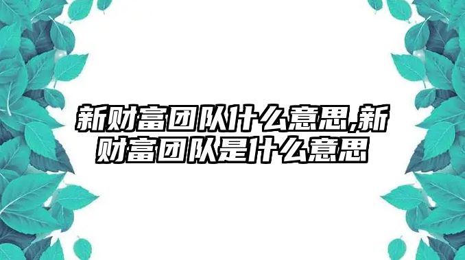 新財(cái)富團(tuán)隊(duì)什么意思,新財(cái)富團(tuán)隊(duì)是什么意思