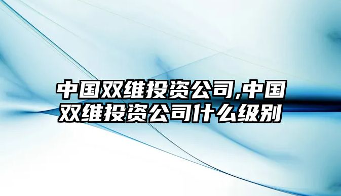 中國雙維投資公司,中國雙維投資公司什么級別