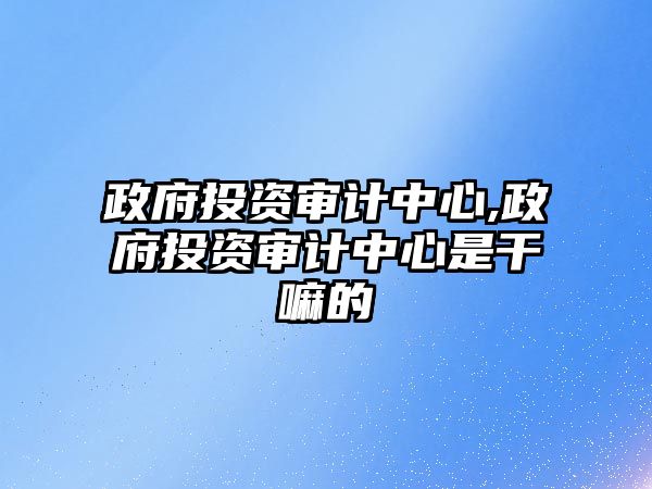 政府投資審計中心,政府投資審計中心是干嘛的