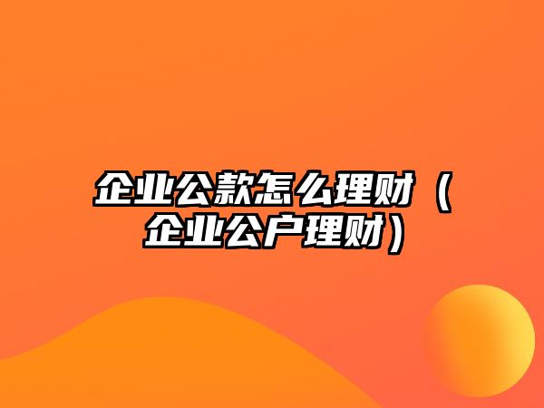 企業(yè)公款怎么理財（企業(yè)公戶理財）