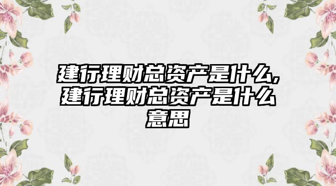 建行理財(cái)總資產(chǎn)是什么,建行理財(cái)總資產(chǎn)是什么意思