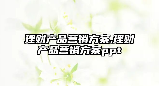 理財產(chǎn)品營銷方案,理財產(chǎn)品營銷方案ppt