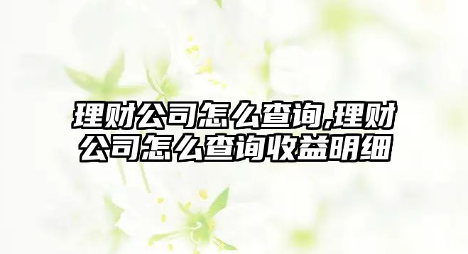 理財(cái)公司怎么查詢,理財(cái)公司怎么查詢收益明細(xì)