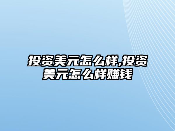 投資美元怎么樣,投資美元怎么樣賺錢