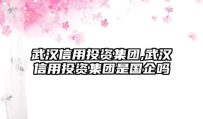 武漢信用投資集團(tuán),武漢信用投資集團(tuán)是國企嗎