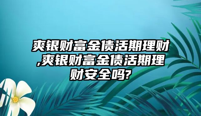 爽銀財富金債活期理財,爽銀財富金債活期理財安全嗎?