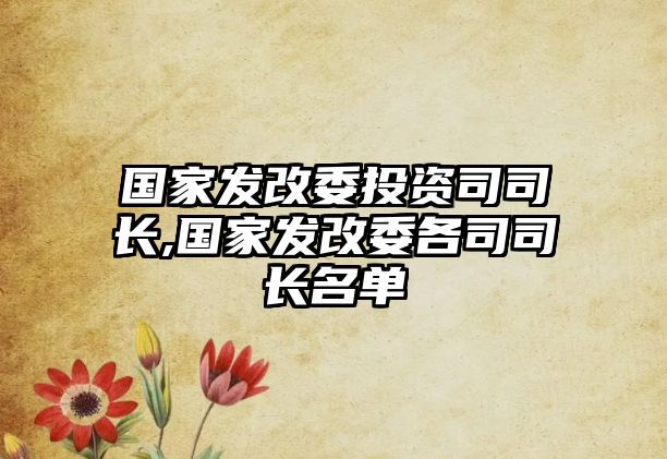 國家發(fā)改委投資司司長(zhǎng),國家發(fā)改委各司司長(zhǎng)名單