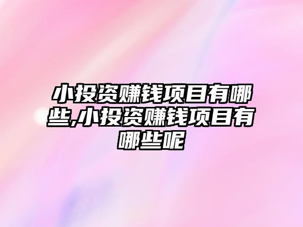 小投資賺錢項目有哪些,小投資賺錢項目有哪些呢