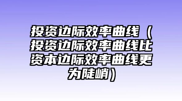 投資邊際效率曲線（投資邊際效率曲線比資本邊際效率曲線更為陡峭）