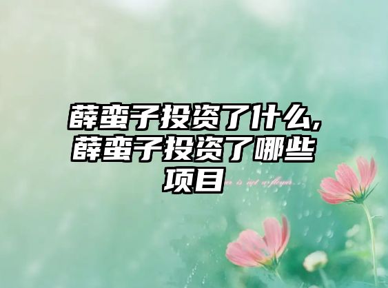 薛蠻子投資了什么,薛蠻子投資了哪些項(xiàng)目