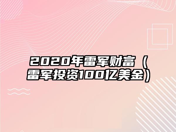 2020年雷軍財(cái)富（雷軍投資100億美金）