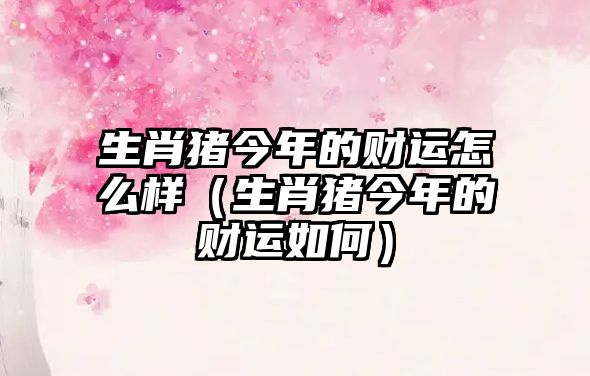 生肖豬今年的財(cái)運(yùn)怎么樣（生肖豬今年的財(cái)運(yùn)如何）