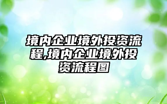 境內(nèi)企業(yè)境外投資流程,境內(nèi)企業(yè)境外投資流程圖