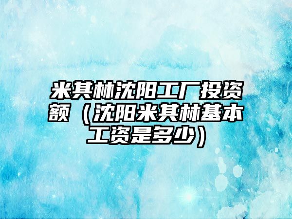 米其林沈陽工廠投資額（沈陽米其林基本工資是多少）