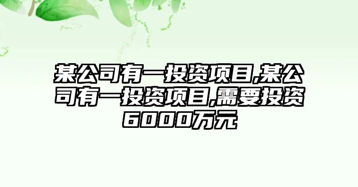 某公司有一投資項目,某公司有一投資項目,需要投資6000萬元