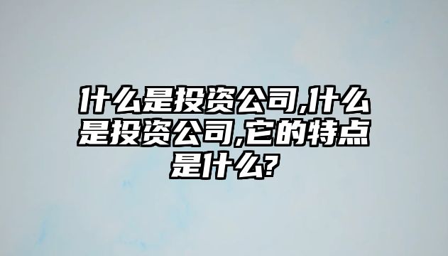 什么是投資公司,什么是投資公司,它的特點(diǎn)是什么?