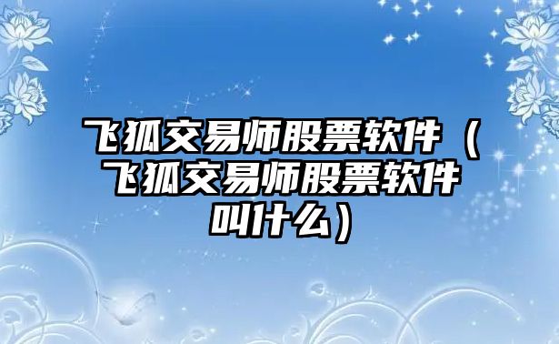 飛狐交易師股票軟件（飛狐交易師股票軟件叫什么）