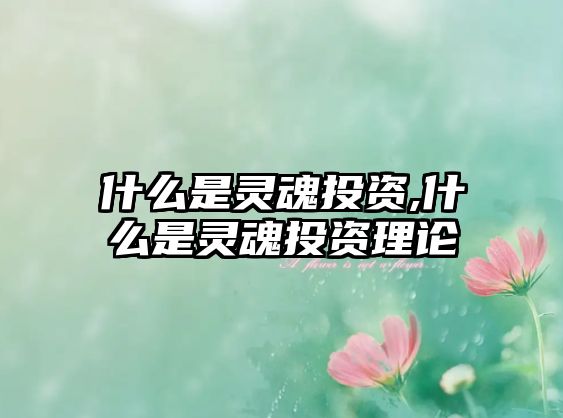 什么是靈魂投資,什么是靈魂投資理論