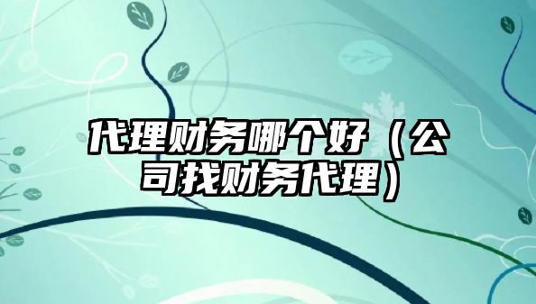 代理財(cái)務(wù)哪個(gè)好（公司找財(cái)務(wù)代理）