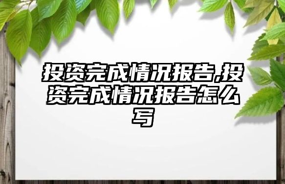 投資完成情況報告,投資完成情況報告怎么寫